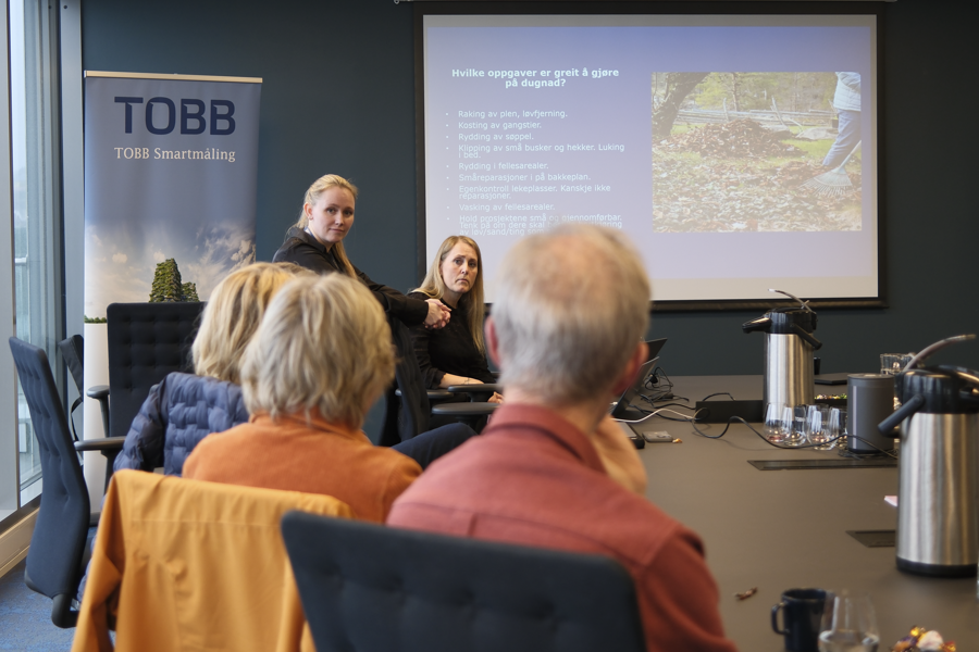 Dugnad. Fellesskap i praksis