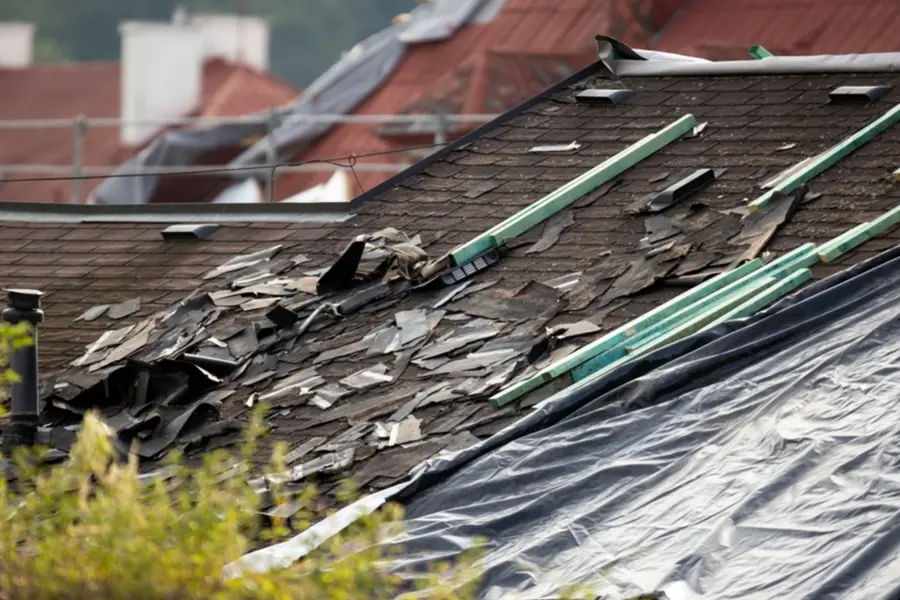 Forsikring Tak High Quality