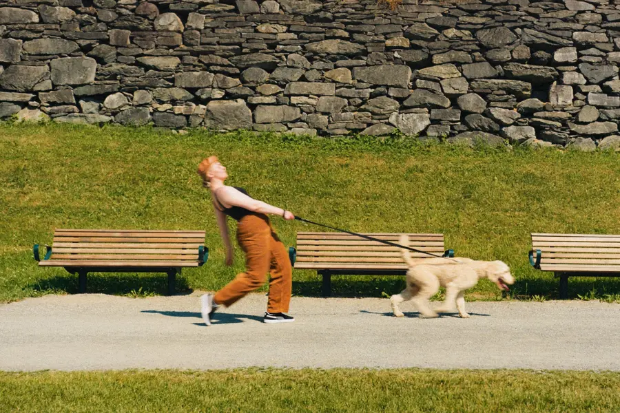 Hires HUND